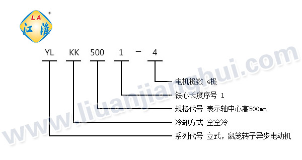 YLKK高壓立式三相異步電動機(jī)_型號意義說明_六安江淮電機(jī)有限公司